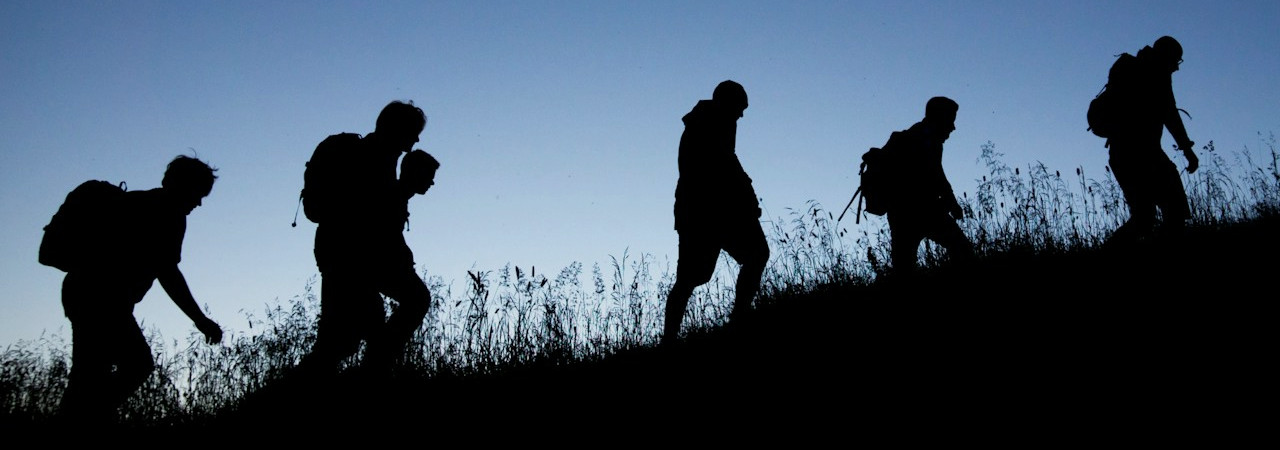 keepler-crossing-holacracy-jungle